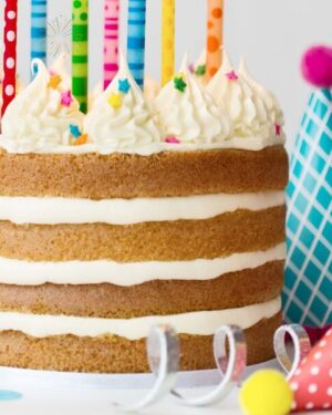 peluche (copia) (copia) (copia)